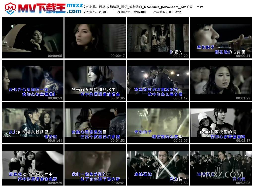 冈林-夜场情歌_国语_流行歌曲_MA200836